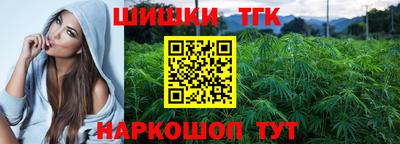 Альфа ПВП Моздок