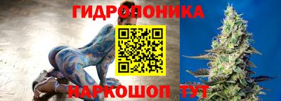 Альфа ПВП Моздок