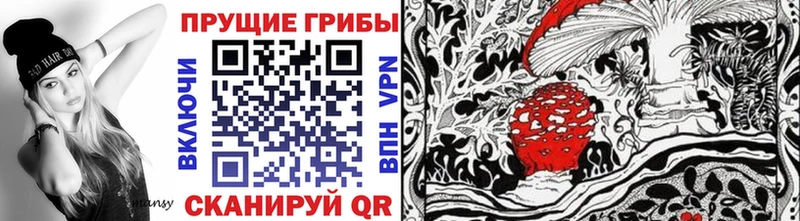 блэк спрут   Якутск  Псилоцибиновые грибы мухоморы  закладка 