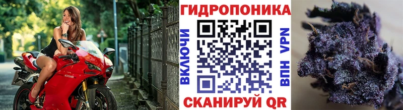 Канабис AK-47  Якутск 